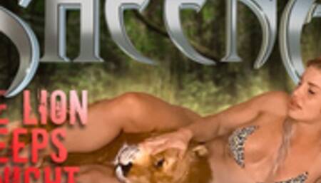 Sheena The Lion Sleeps Tonight