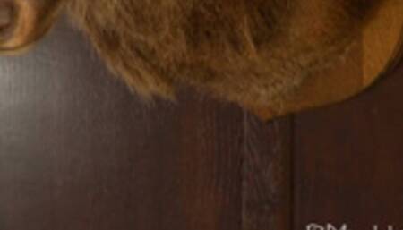 Come Home And All Over Me