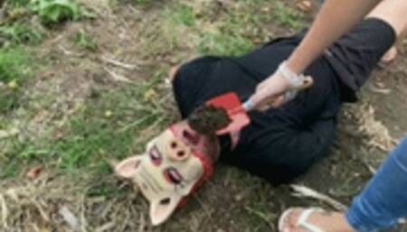 Slave Pig Humiliation Eat Mud and Grass by Princess Deh # SD MOBILE