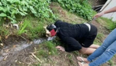 Slave Pig Humiliation Eat Mud and Grass by Princess Deh # 1080HD