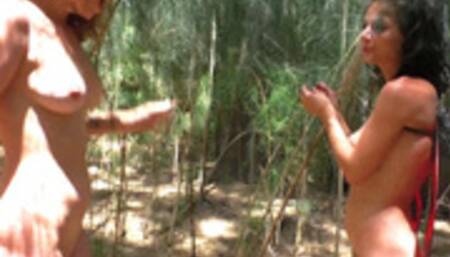 Forest Fairy Frolics HD