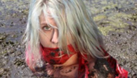 The Danger Tape, Version 2 -- starring Nixi