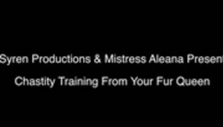 Chastity Training From Your Fur Queen (1080p)
