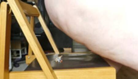 Tinies Squashed Under Giant Ass (WMV)