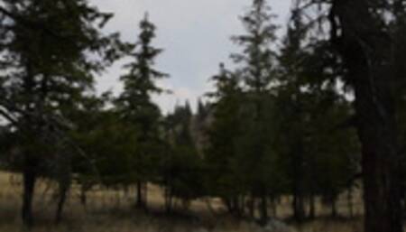 Wilderness Punishment Part 3 of 5 - Trampling