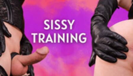 Ass Worship Cock Worship Sissy Training