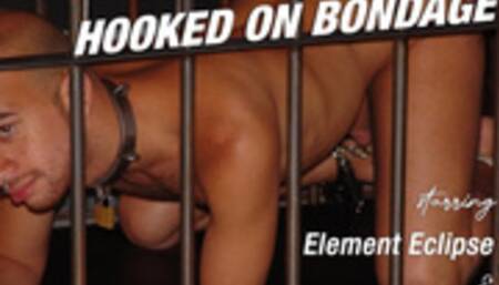 Hooked on Bondage