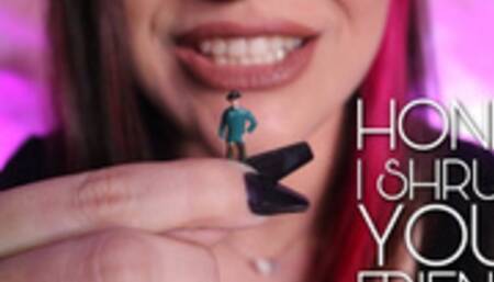 Honey I Shrunk Your Friends