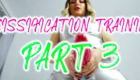 SISIFICATION BEGINNER TRAINING PR 3