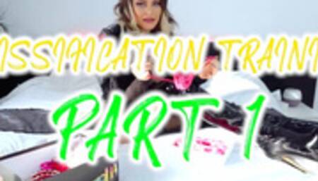 SISIFICATION BEGINNER TRAINING PR1