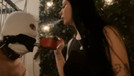 Mistress Glamorous will use this loser as her human ashtray