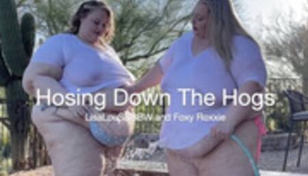 Hosing Down The Hogs