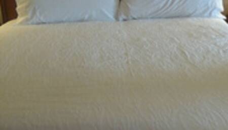 Huge Tit Pornstar Friend Hot Sex