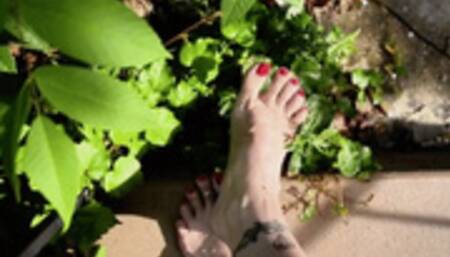 Fresh red toes, red stiletto heels & arches tease, Hungarian milf feet