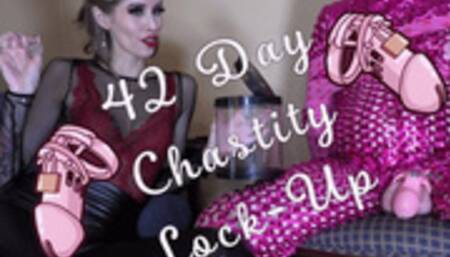 42 Day Chastity Lock-Up! Sissy Orgasm Denial Long Term Clitty Cage - 4K MP4
