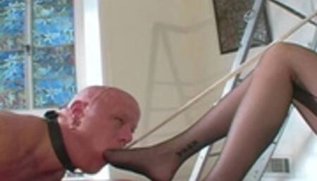 An Elegant Foot Gagging (WMV)