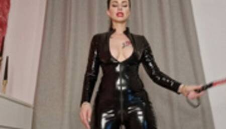 200 Bullwhips Hits part 2