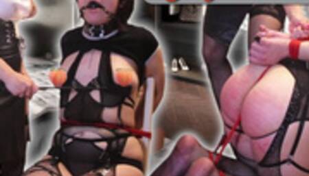 Tightly Tied Darcy (HD 720p MP4)