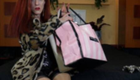 The Findom Experiment