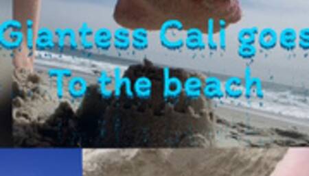 Giantess Cali goes to the beach