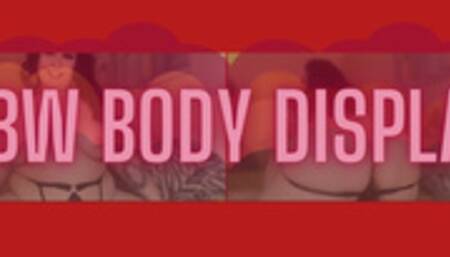BBW Body Display