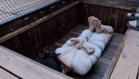 YT2056 The Second Usage of Multi_Purpose Hidden Cellar