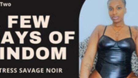 A Few Days of FinDom - Part 2