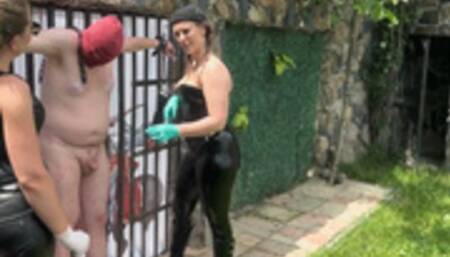 HarD NIPPLE TREAthment for this SUbmissive