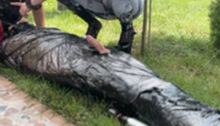 mummification and a hungry PIG