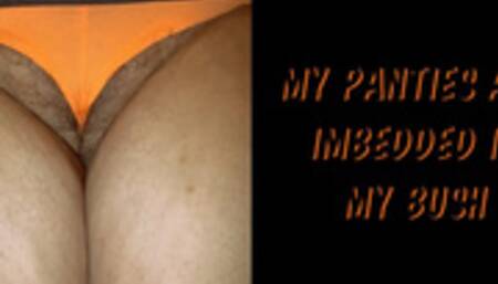 My Panties Are Imbedded In My Bush