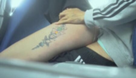 Sex on the bus stepsister