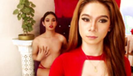 Horny Shemale Lovers Do Masturbate And Do Oral Sex