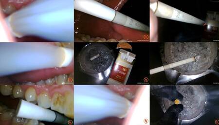 Multifilter Red 100s inside