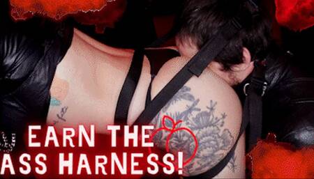 Earn The Ass Harness! Ft Princess Onyx Kim - HD MP4 1080p Format