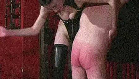 Amazon Thrashes The Little Guy (WMV)