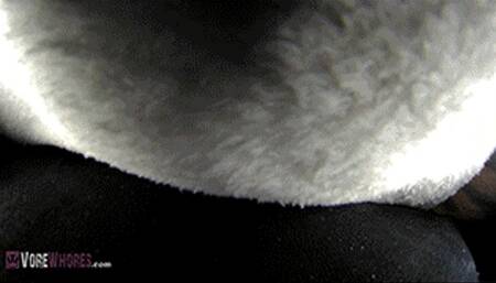 Swallowed & Digested by Wink fly360 POV 720 HD Giantess Vore