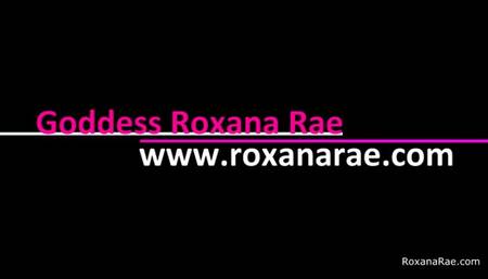 Roommate JOI Agreement