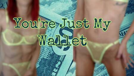 You're Just My Wallet
