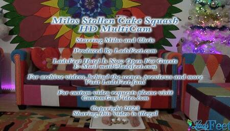 Milos Stollen Cake Squash HD