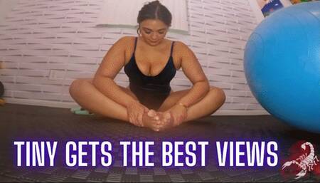 Tiny Gets the Best Views