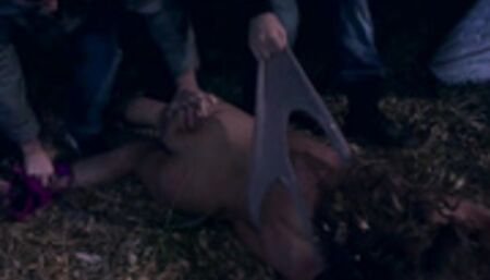 Girlfriend dp fucked in woods at night