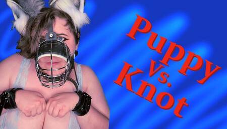 Puppy vs Knot: Big tit pet takes thick knotted dildo