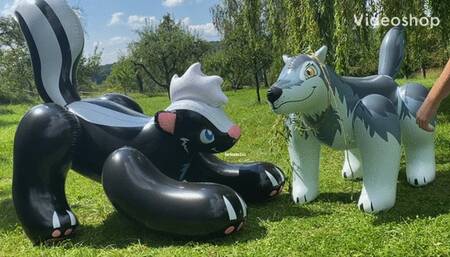 skunk and wolf bounce