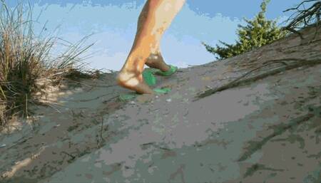 Shoe hunter 17 WMV(1920x1080)FHD