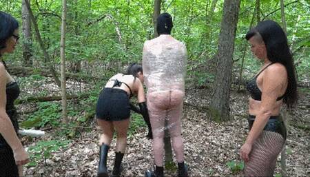 Foil bondage and hard spanking in the forest