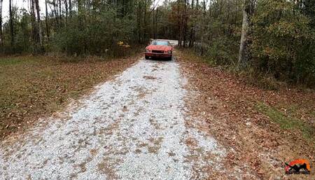 PTP 1352 – Vivian Ireene Pierce Revving the Camaro in Hose & Heels