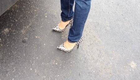 KsSunflwr, jeans and leopard stiletto heels
