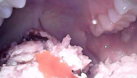 VORED MY STEP-BRO TO TRANSFER HIM TO THE PARTY - MOUTH FETISH