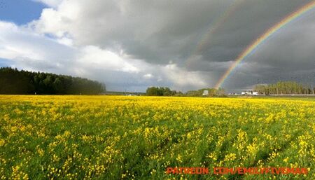 Hard flooring gas while making crazy burnouts and donuts