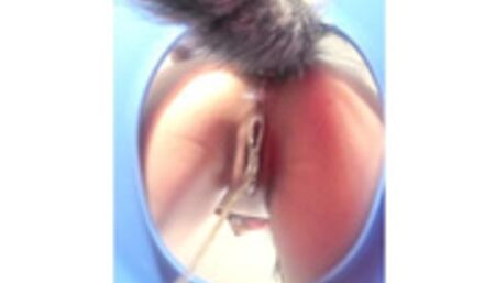 Peeing (golden shower) at School/ Camera Inside Toilet Bowl